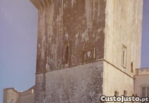 imagem_8