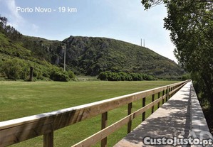 imagem_20