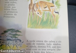 imagem_5