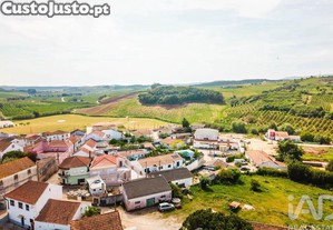imagem_12