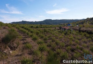 Terreno em Lamas