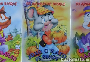 imagem_1