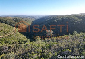 Herdade Com 276 Ha, Enorme Potencial Para...