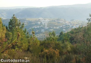 imagem_24