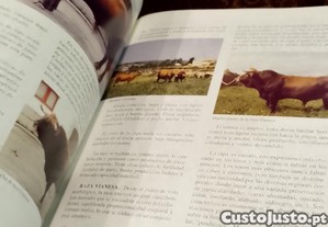 imagem_8