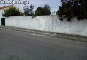 imagem_11
