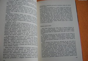 imagem_6
