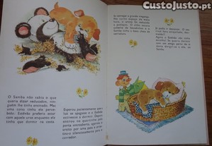 imagem_4