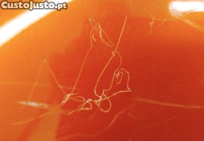 imagem_11