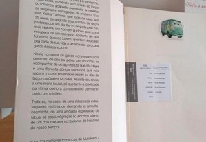 imagem_6