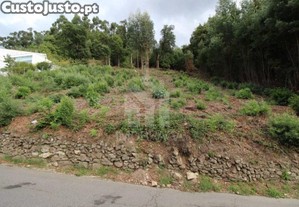 imagem_1