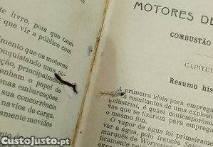 imagem_7