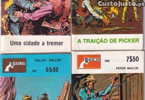 imagem_1