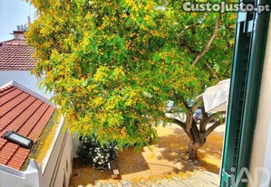 imagem_17