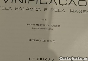 imagem_10