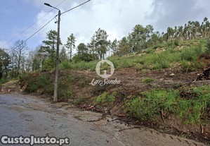 imagem_11