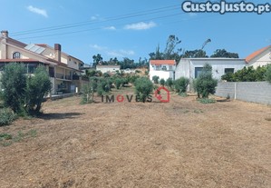 imagem_8