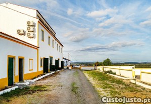imagem_8