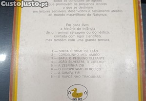 imagem_7