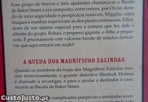 imagem_7