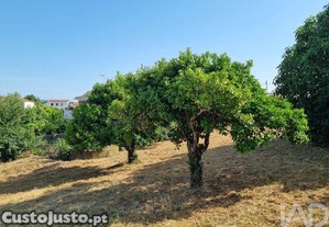 imagem_27