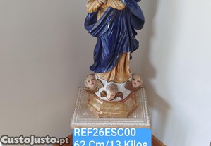 imagem_7