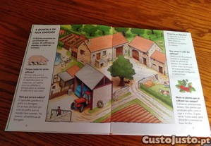imagem_4