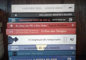 imagem_3