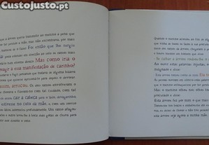 imagem_8