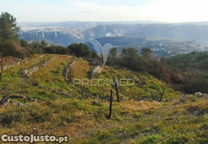 imagem_16