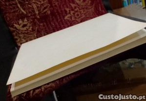 imagem_11