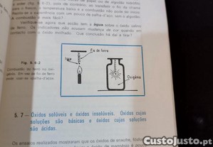 imagem_5