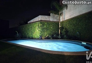 imagem_38