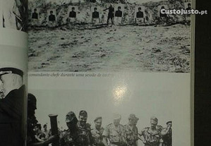 imagem_3