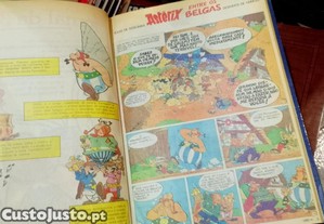 imagem_8