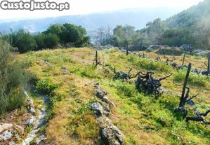 imagem_21