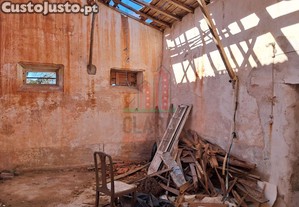 imagem_21