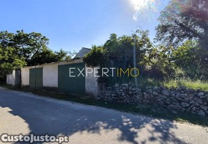imagem_11