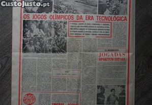 imagem_3