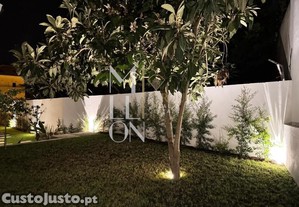 imagem_20