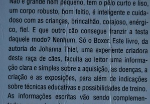 imagem_8