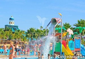 imagem_9