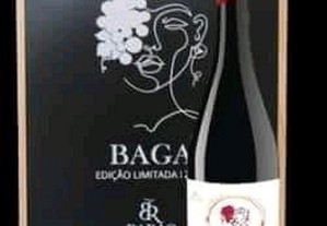 Barão Rodrigues Baga 2020