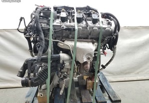 imagem_7