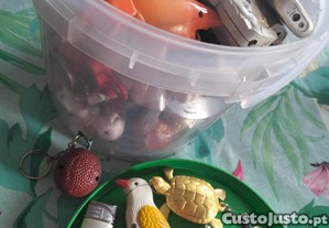 imagem_1