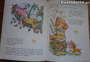 imagem_7