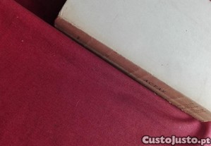 imagem_6