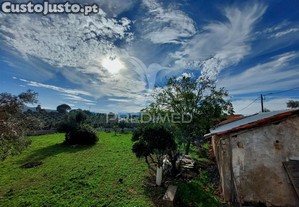 imagem_26