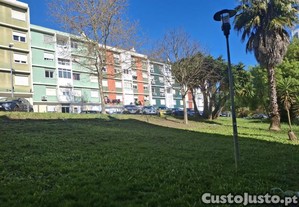 imagem_15
