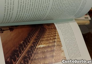 imagem_8